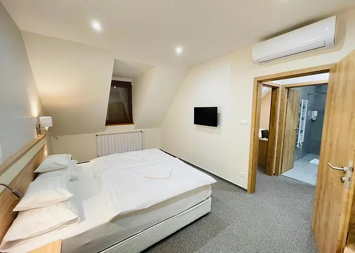 Mikes Deluxe Apartment